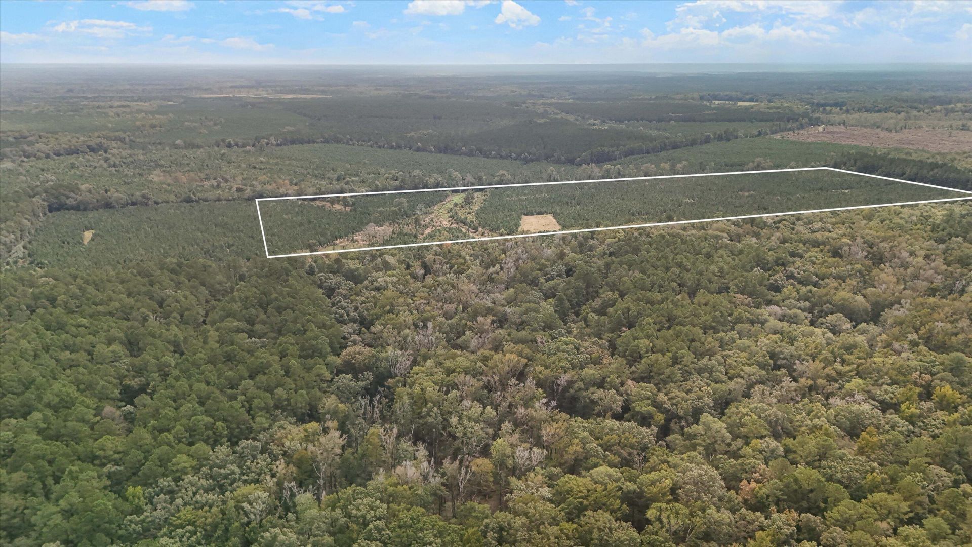000 Augusta Highway Photo 7