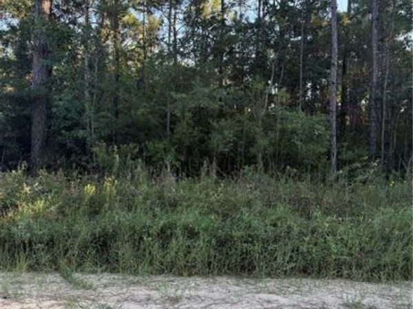 #0 Dakota Drive , Coden, AL 36523