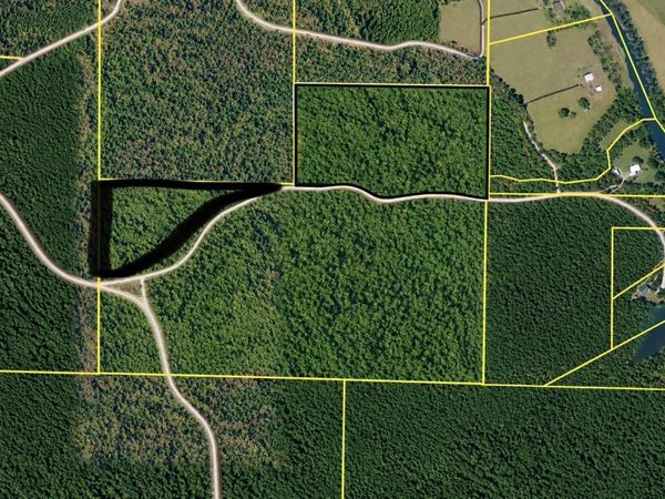 TBD (11) MANFRED Road, Norman, AR 71960