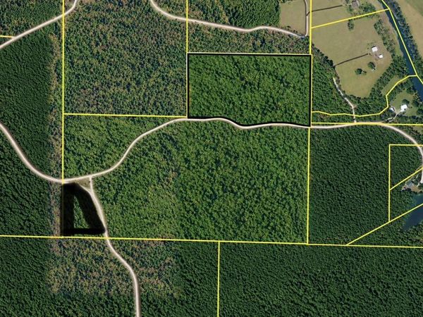 TBD (6) MANFRED Road, Norman, AR 71960