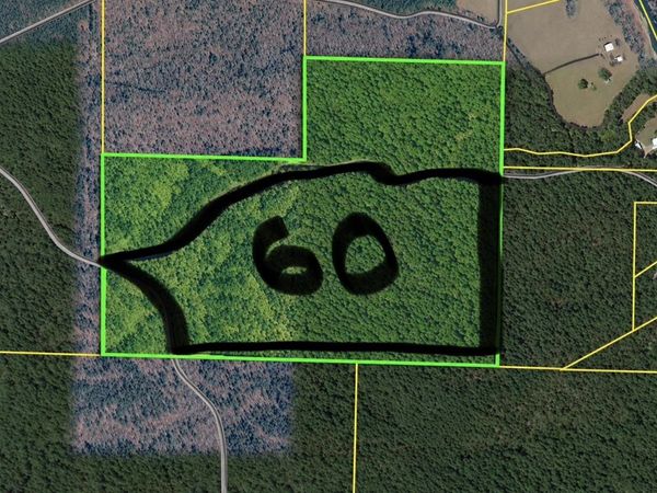 TBD (60) MANFRED Road, Norman, AR 71960