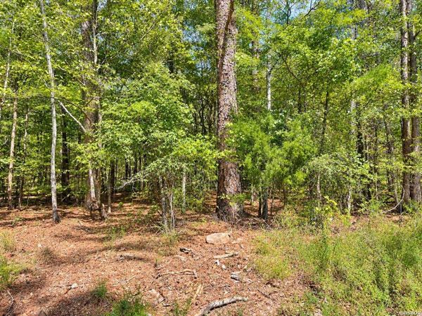 TBD MANFRED Road, Norman, AR 71960
