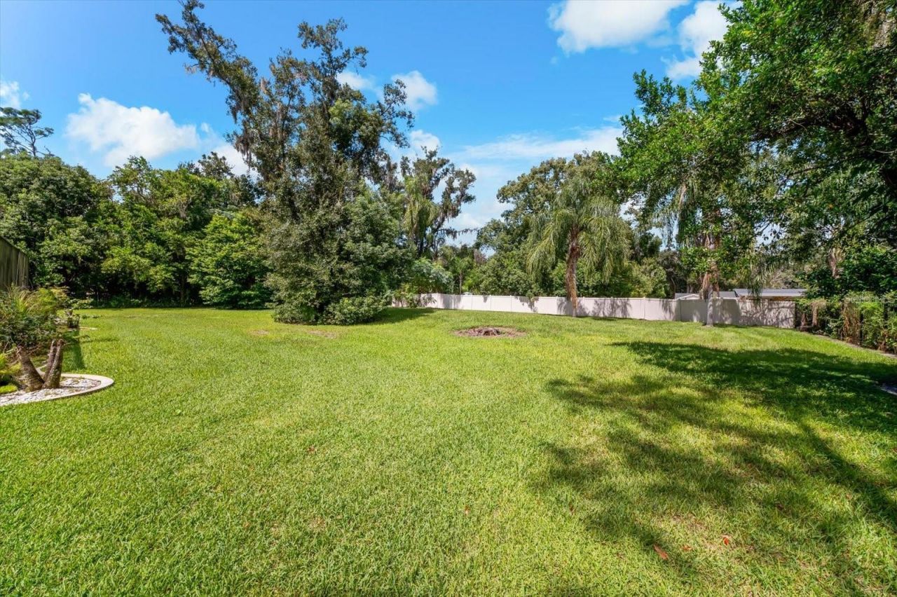 1118 Lake Hanna Drive, Lutz, FL 33549 Photo