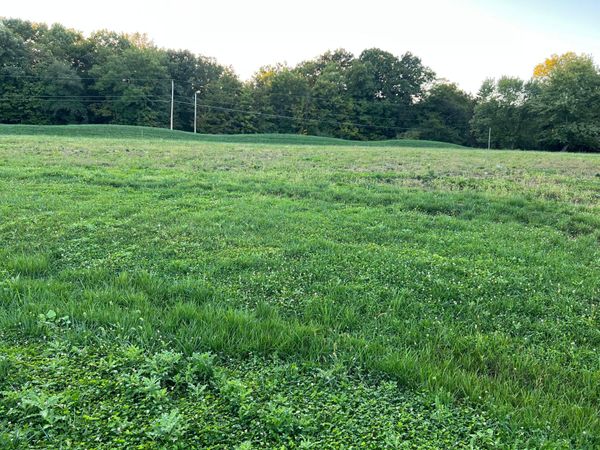 8876 Carlisle Court, Powell, OH 43065