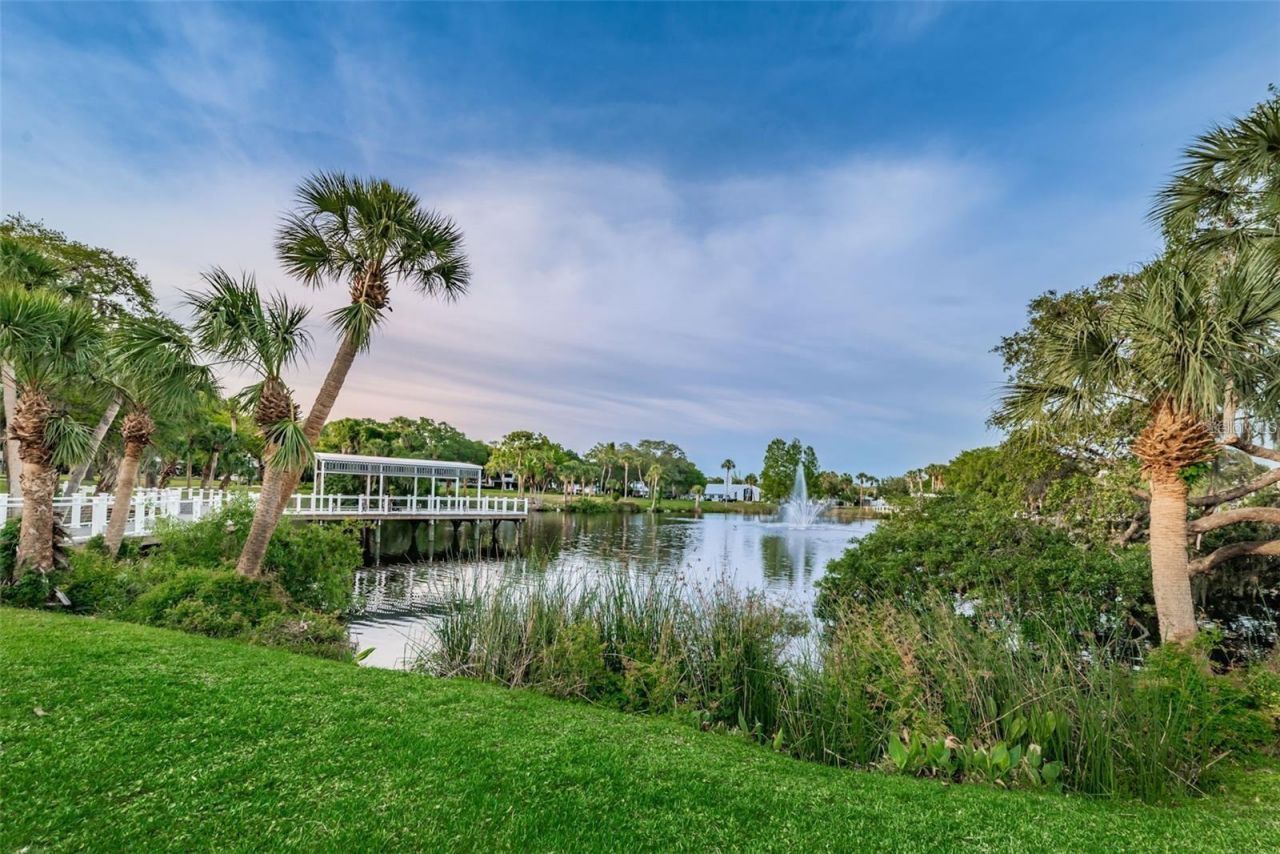 6243 Main Street , New Port Richey, FL 34653 Photo