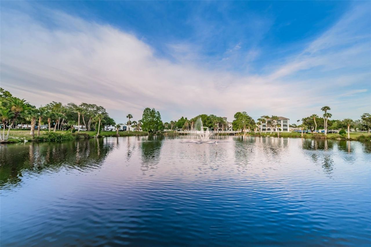 6243 Main Street , New Port Richey, FL 34653 Photo