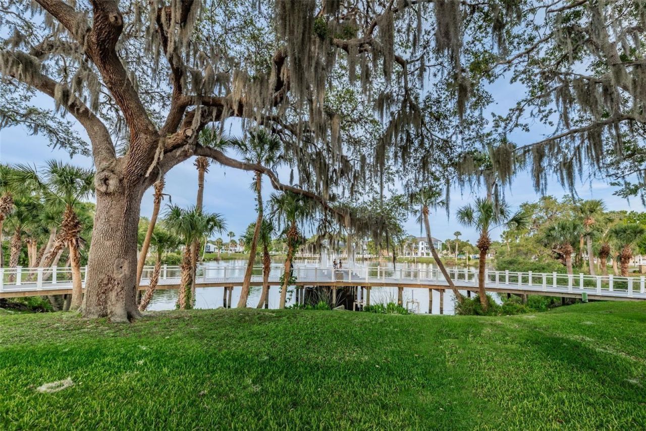 6243 Main Street , New Port Richey, FL 34653 Photo