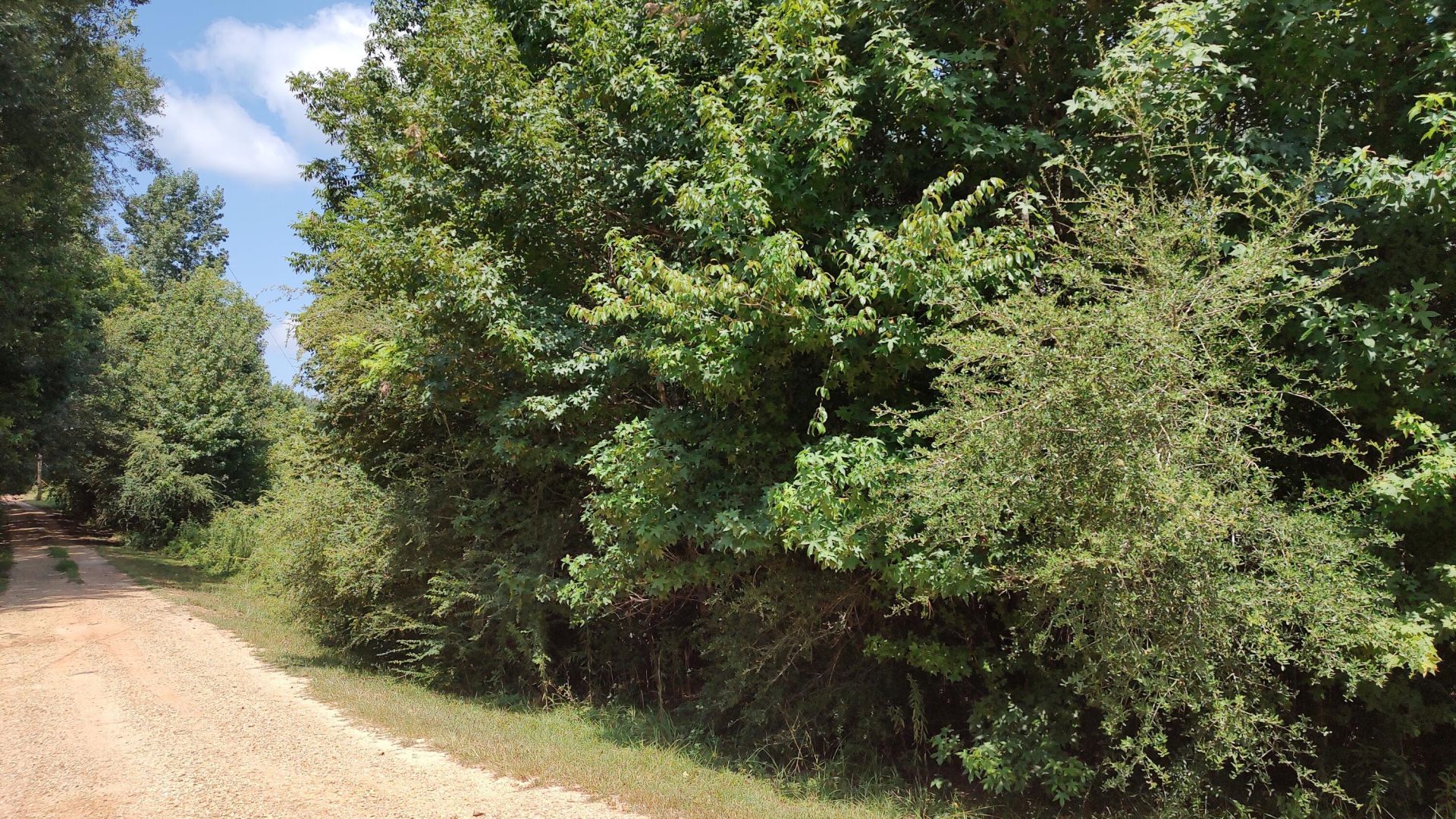 Nhn Worth Nall Rd., Lumberton, MS 39455 Main Photo