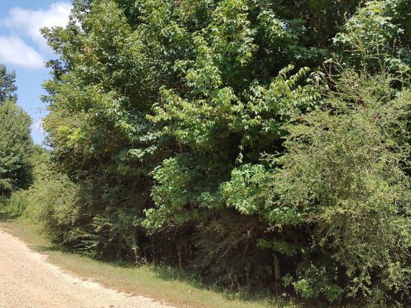 NHN Worth Nall Rd., Lumberton, MS 39455