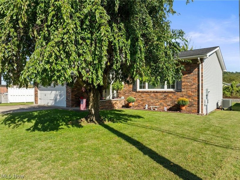 216 Market Street, Yorkville, OH 43971 Photo 3