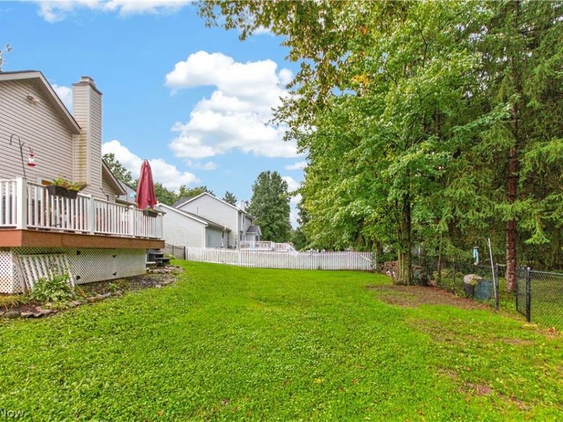5664 Ryan Road, Medina, OH 44256 Photo 47