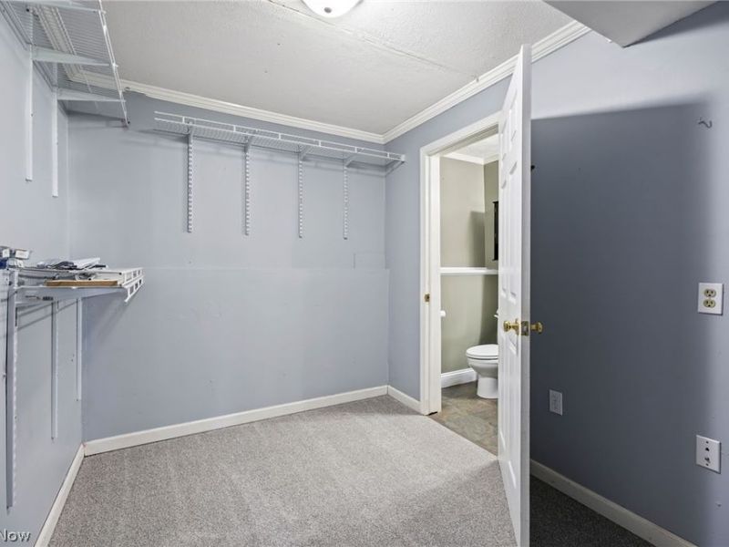4793 Debbie Drive, Medina, OH 44256 Photo 19
