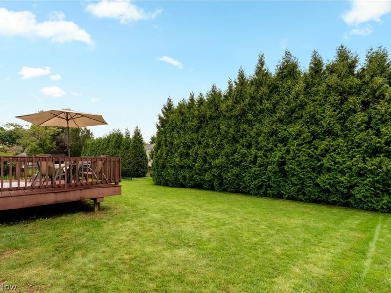 419 Treeview Drive , Wadsworth, OH 44281 Photo 31