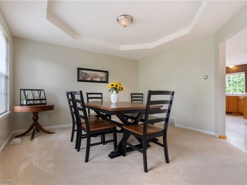 419 Treeview Drive , Wadsworth, OH 44281 Photo 5