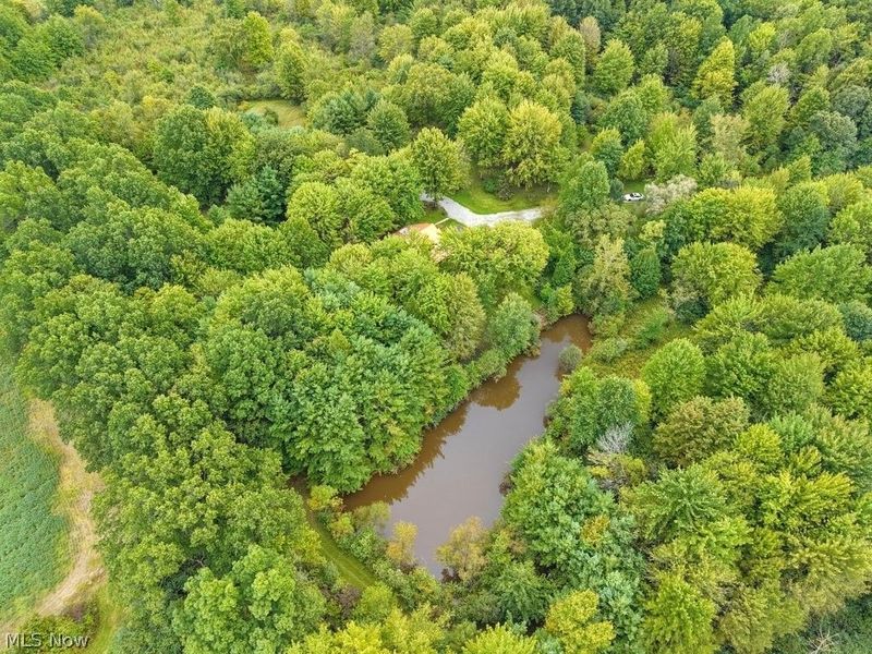 4852 Campbellsport Road, Rootstown, OH 44266 Photo 17