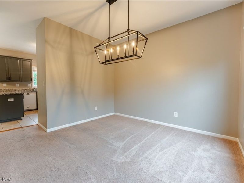 1433 Logan Lane, Wooster, OH 44691 Photo 19