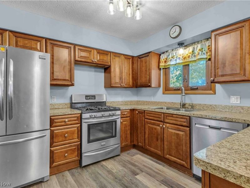 17778 State Route 301, Lagrange, OH 44050 Photo 11