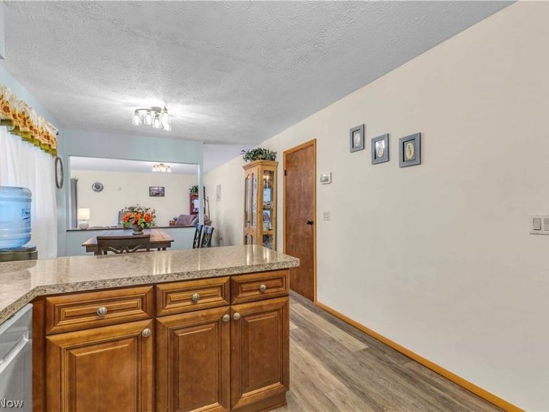 17778 State Route 301, Lagrange, OH 44050 Photo 12