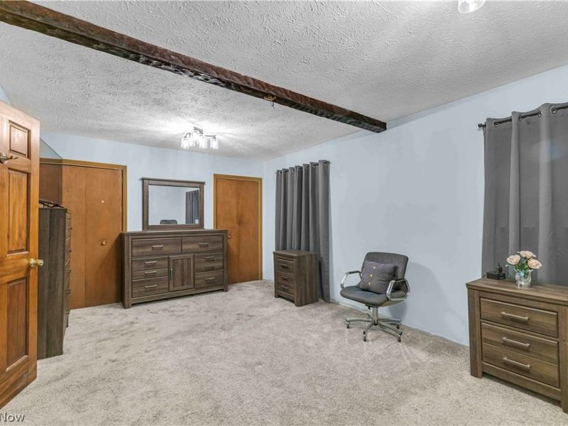 17778 State Route 301, Lagrange, OH 44050 Photo 16