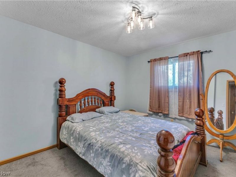 17778 State Route 301, Lagrange, OH 44050 Photo 17