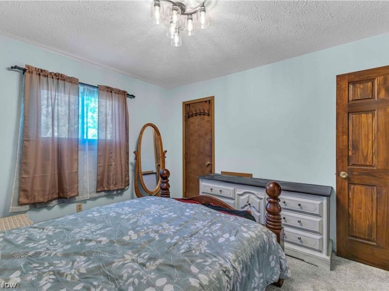 17778 State Route 301, Lagrange, OH 44050 Photo 18