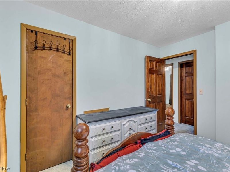 17778 State Route 301, Lagrange, OH 44050 Photo 19