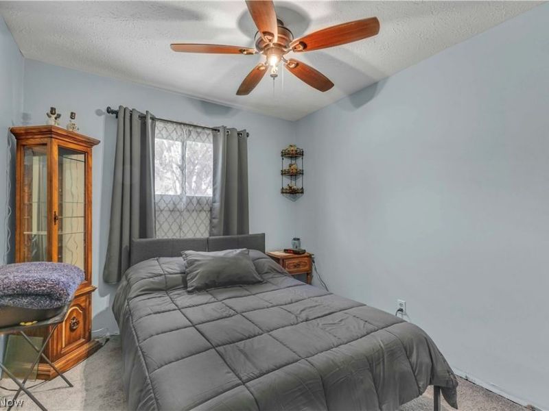 17778 State Route 301, Lagrange, OH 44050 Photo 20