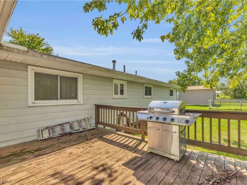 17778 State Route 301, Lagrange, OH 44050 Photo 31