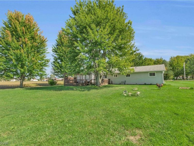 17778 State Route 301, Lagrange, OH 44050 Photo 35