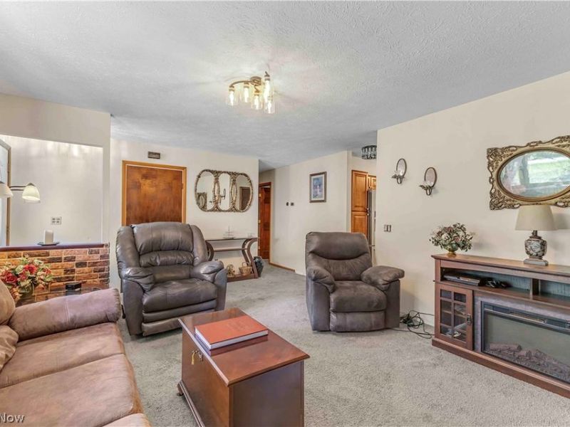 17778 State Route 301, Lagrange, OH 44050 Photo 4
