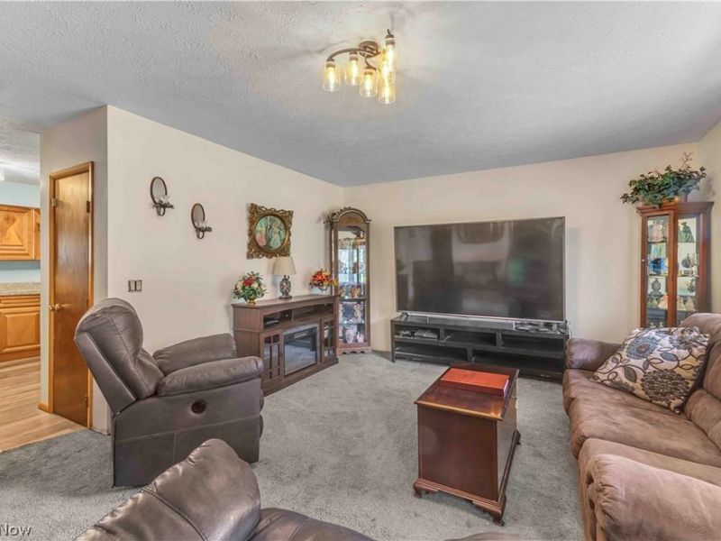 17778 State Route 301, Lagrange, OH 44050 Photo 6