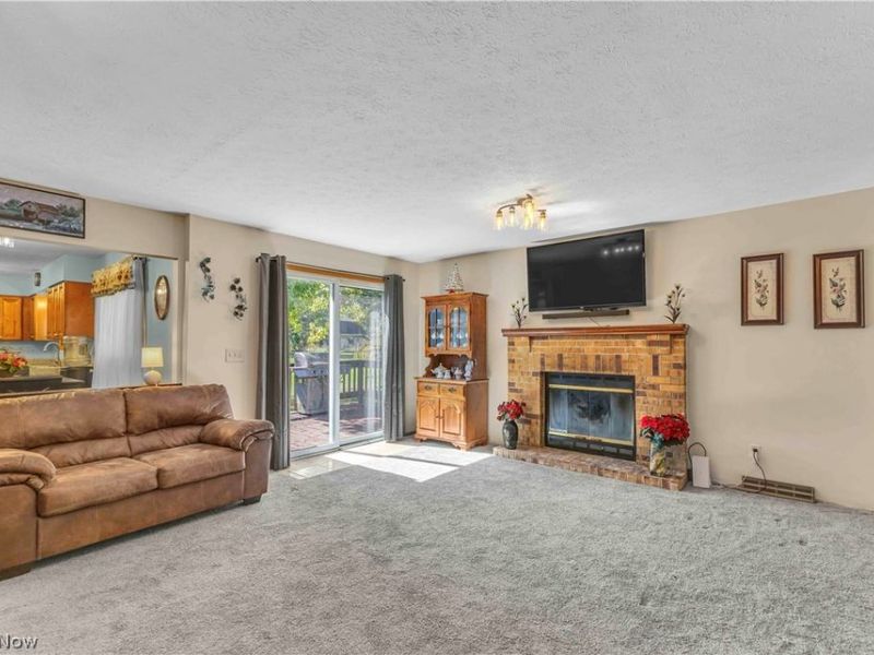 17778 State Route 301, Lagrange, OH 44050 Photo 9