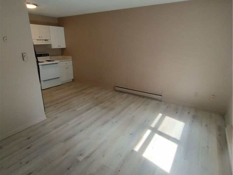 31 1/2 Elm Street, Unit C2, Struthers, OH 44471 Photo 3