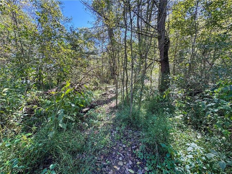 37817 Township Road 437a, Dresden, OH 43821 Photo 15