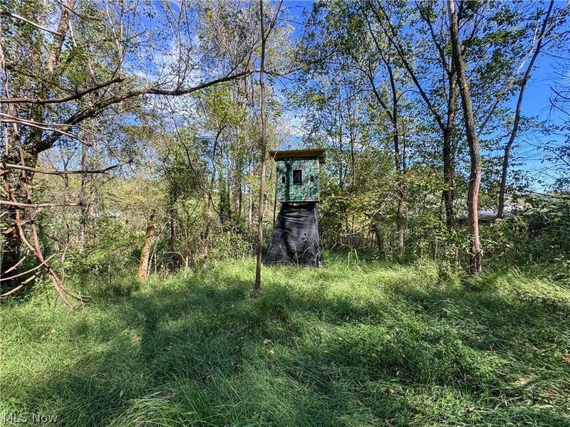 37817 Township Road 437a, Dresden, OH 43821 Photo 16