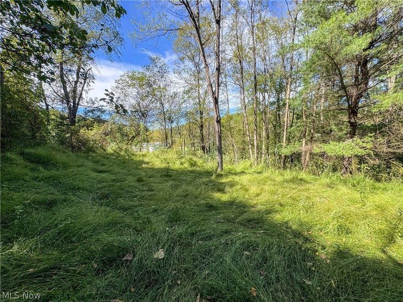 37817 Township Road 437a, Dresden, OH 43821 Photo 19
