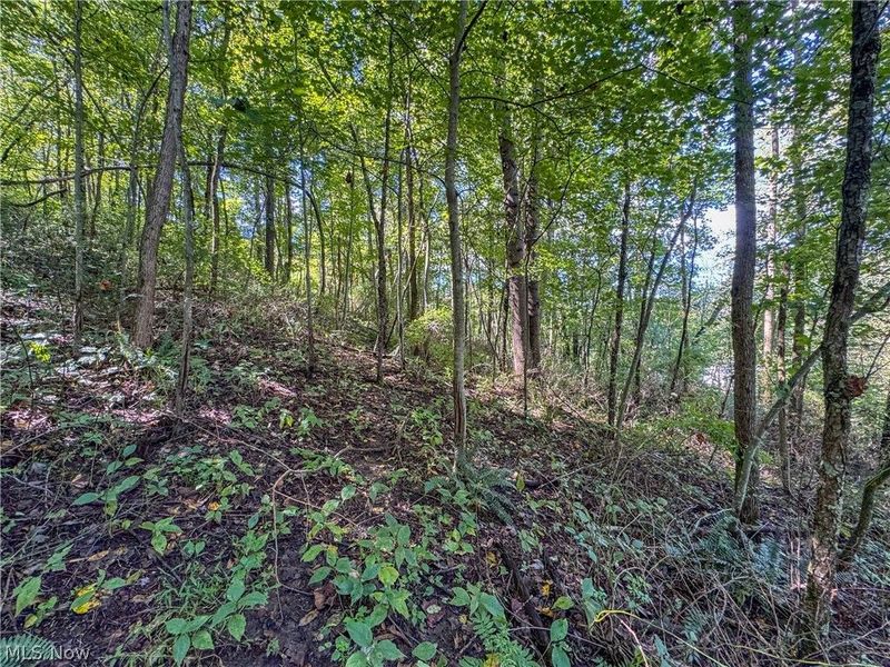 37817 Township Road 437a, Dresden, OH 43821 Photo 20