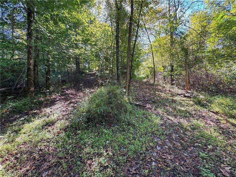 37817 Township Road 437a, Dresden, OH 43821 Photo 24