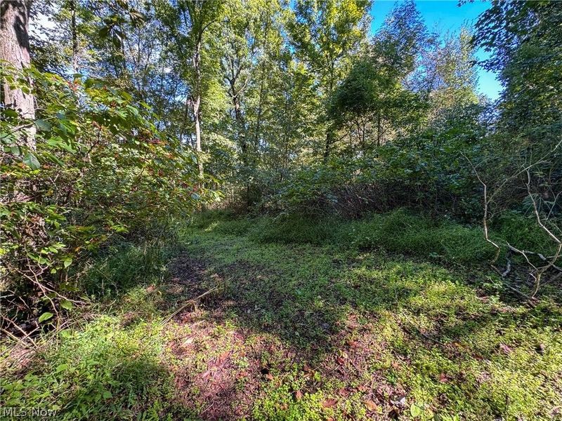 37817 Township Road 437a, Dresden, OH 43821 Photo 25