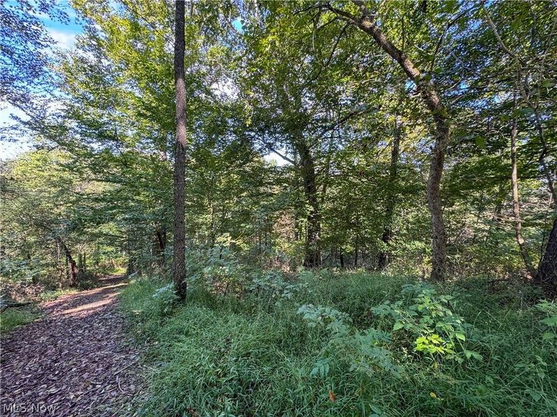 37817 Township Road 437a, Dresden, OH 43821 Photo 26