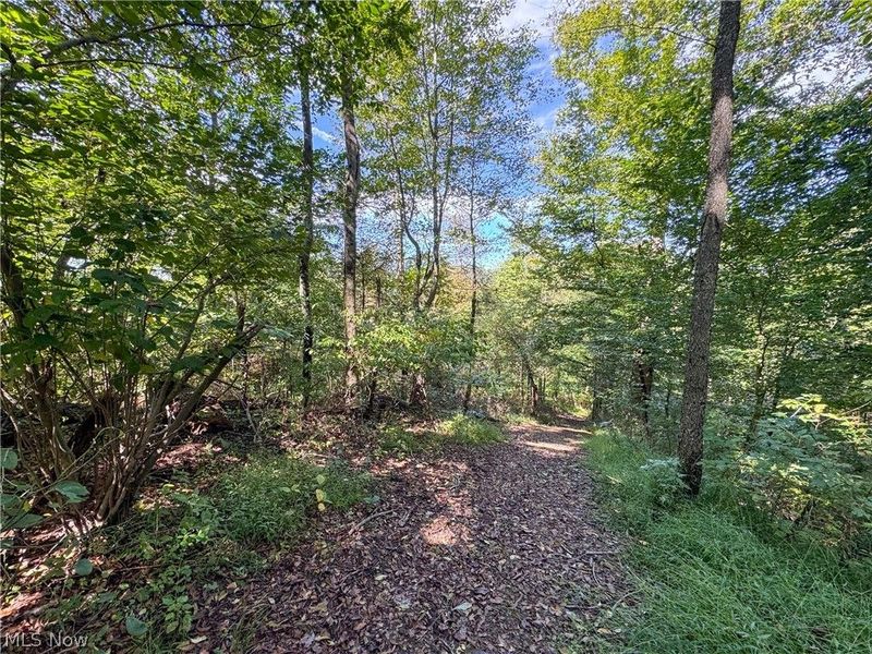 37817 Township Road 437a, Dresden, OH 43821 Photo 27