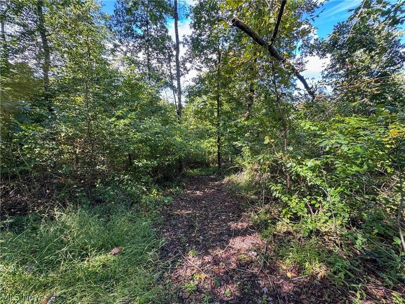 37817 Township Road 437a, Dresden, OH 43821 Photo 30