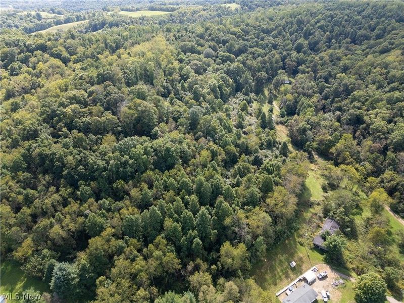 37817 Township Road 437a, Dresden, OH 43821 Photo 33