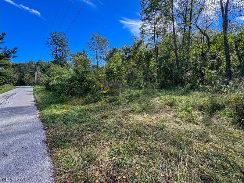37817 Township Road 437a, Dresden, OH 43821 Photo 5