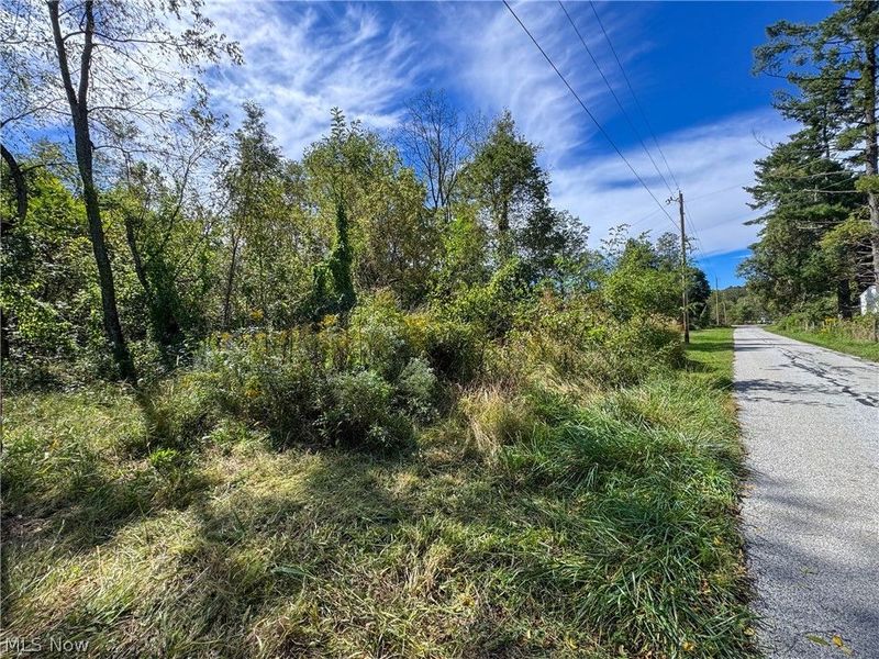 37817 Township Road 437a, Dresden, OH 43821 Photo 6