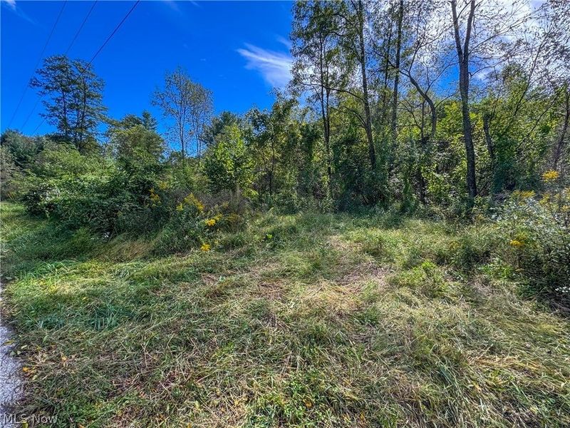 37817 Township Road 437a, Dresden, OH 43821 Photo 7