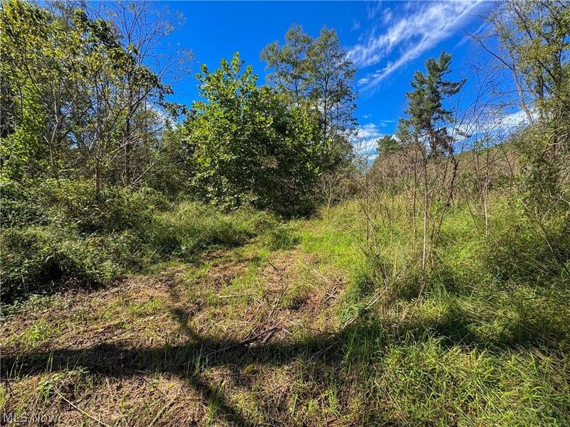 37817 Township Road 437a, Dresden, OH 43821 Photo 8