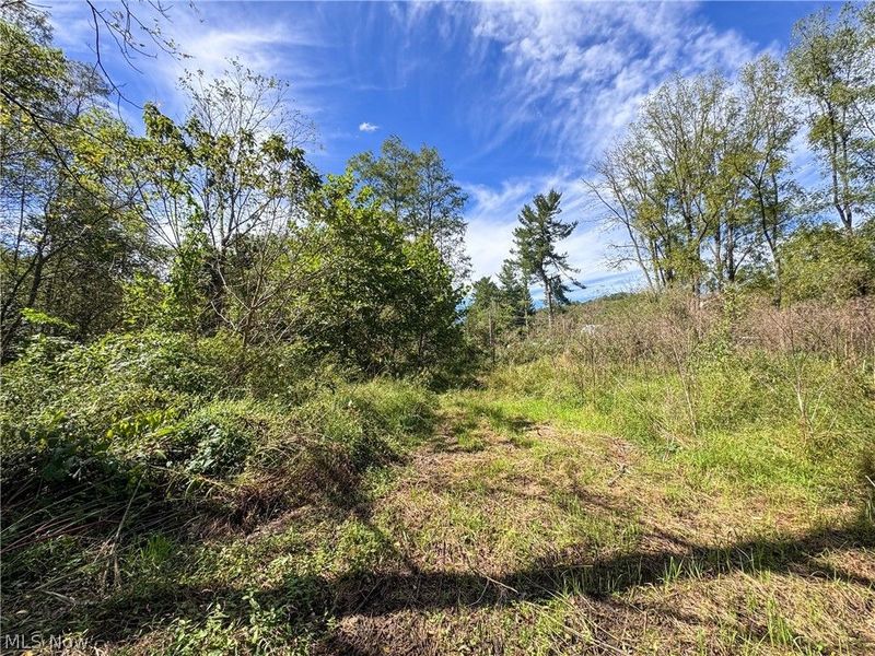 37817 Township Road 437a, Dresden, OH 43821 Photo 9