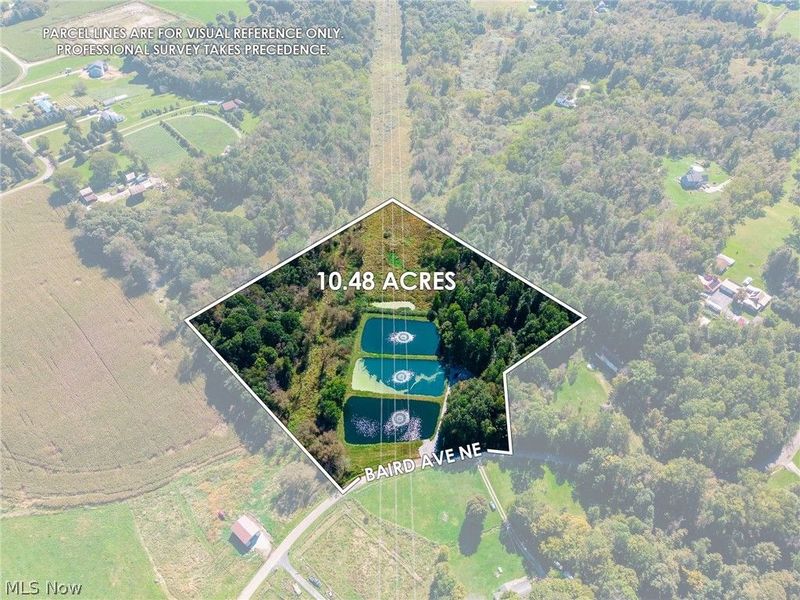 NE Baird Avenue, Paris, OH 44669 Photo 6