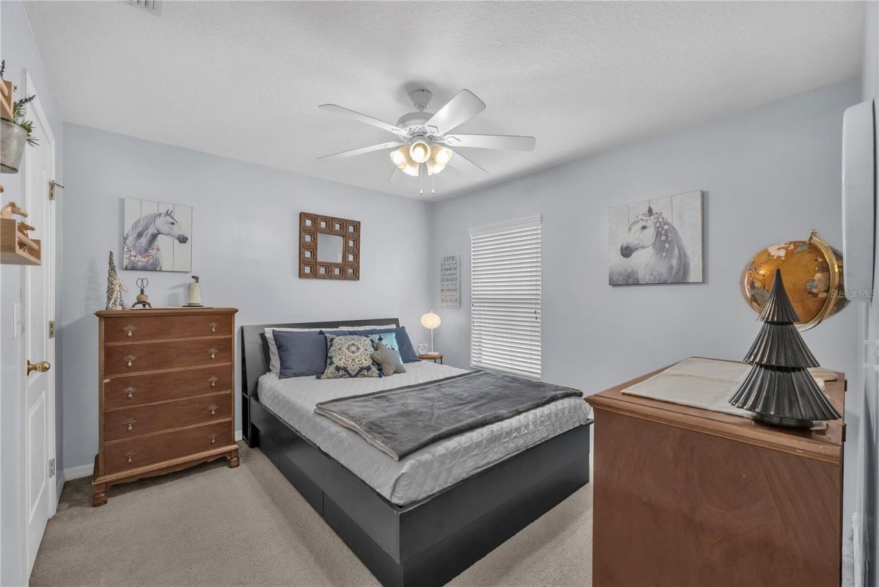 4516 Hawkins Road, Plant City, FL 33567 Photo